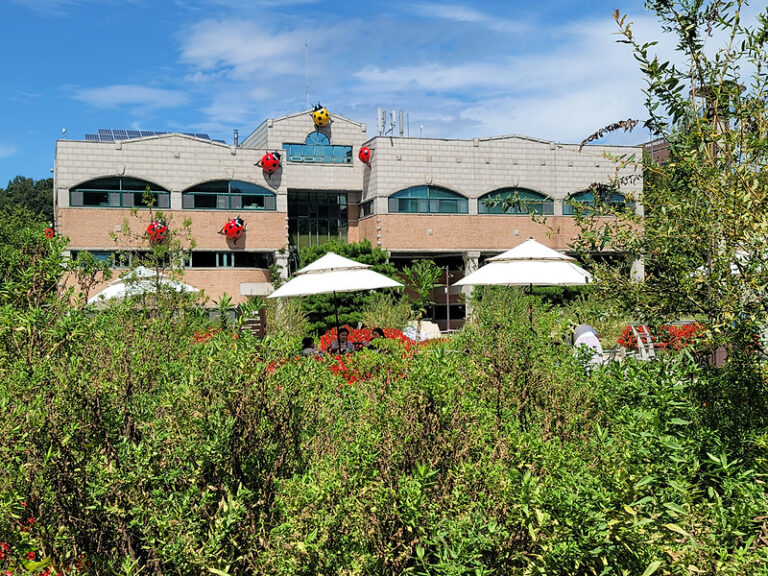 서울장애인콜택시 타고 부천식물원 10년만에 다녀온 솔직후기