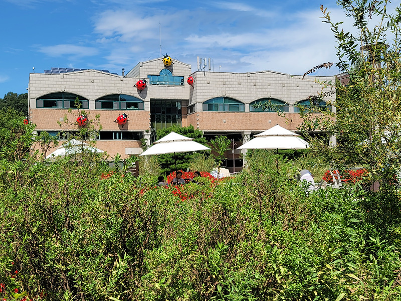 서울장애인콜택시 타고 부천식물원 10년만에 다녀온 솔직후기