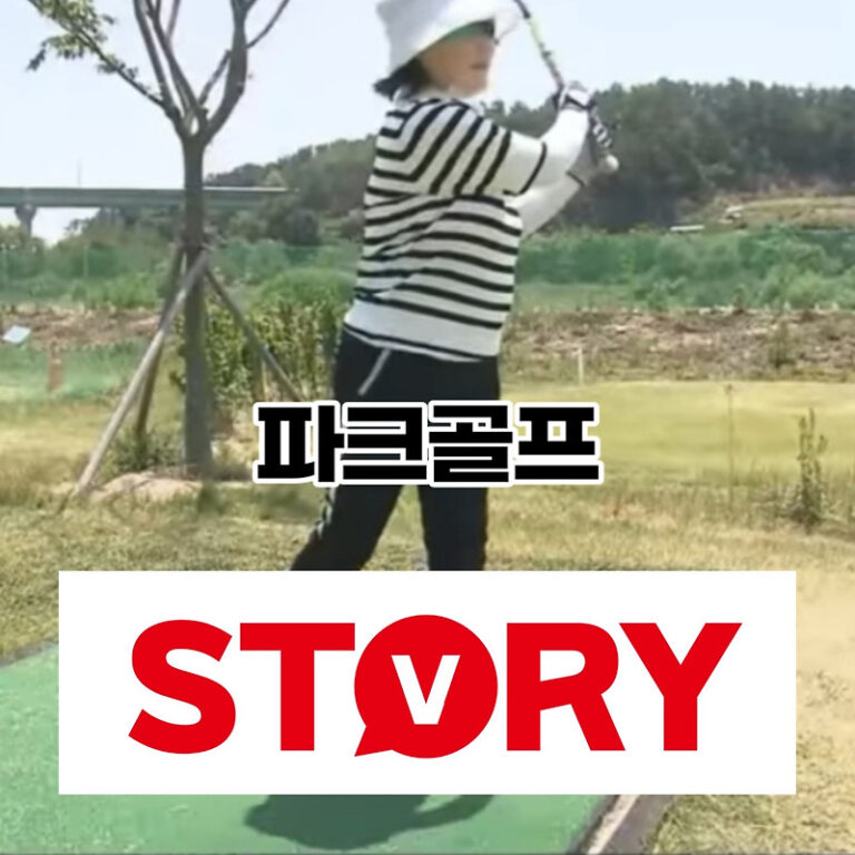 파크골프란 무엇일까요? 파크골프 특징, 가격, 국내 현황 등