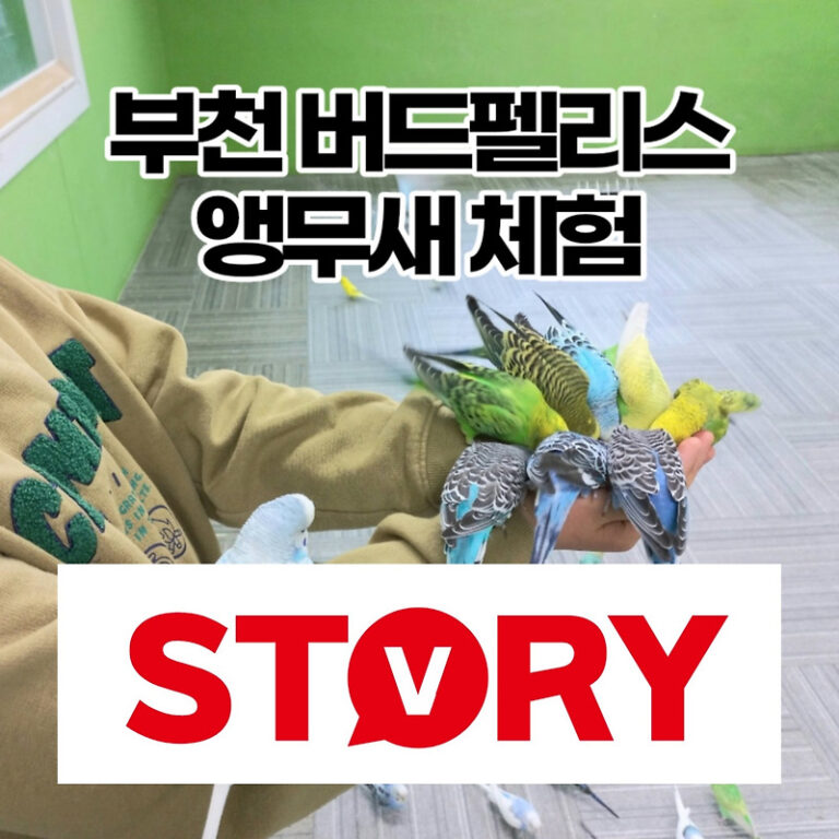 부천 아이들과 가볼만한 곳 버드팰리스 앵무새 체험 (ft : 앵무새 말하는 모습 영상)