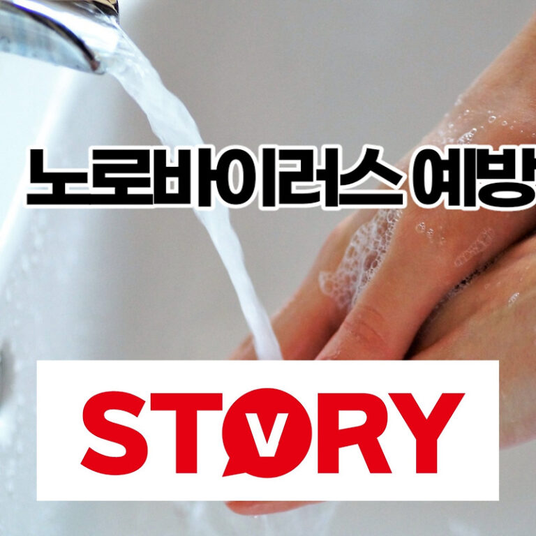 노로 바이러스 장염 전염 방지 예방법 5가지