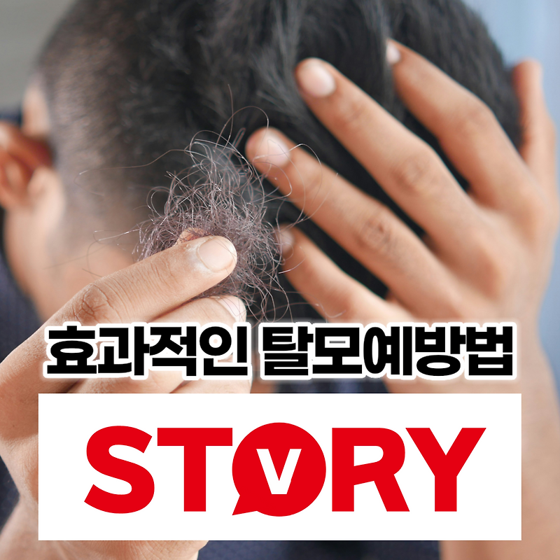 효과적인 실생활 탈모예방 방법 9가지 알아보기