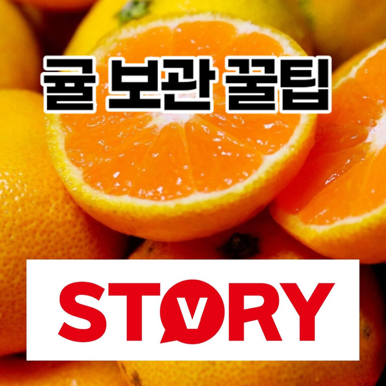 겨울철 제철과일 귤 보관법 보관 꿀팁 (feat : 베이킹 소다)