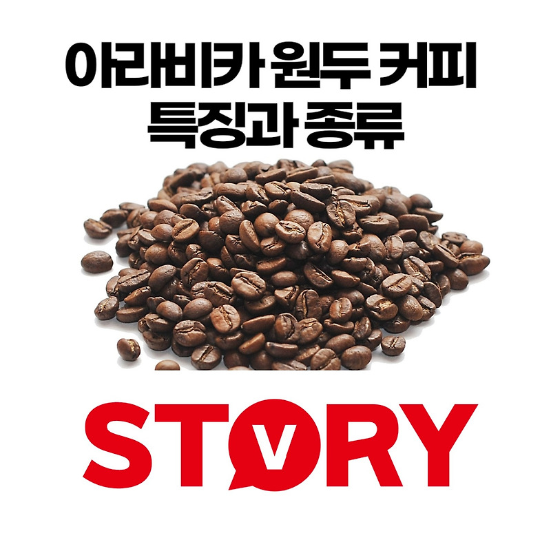아라비카 원두 커피 특징 및 품종 알아보기