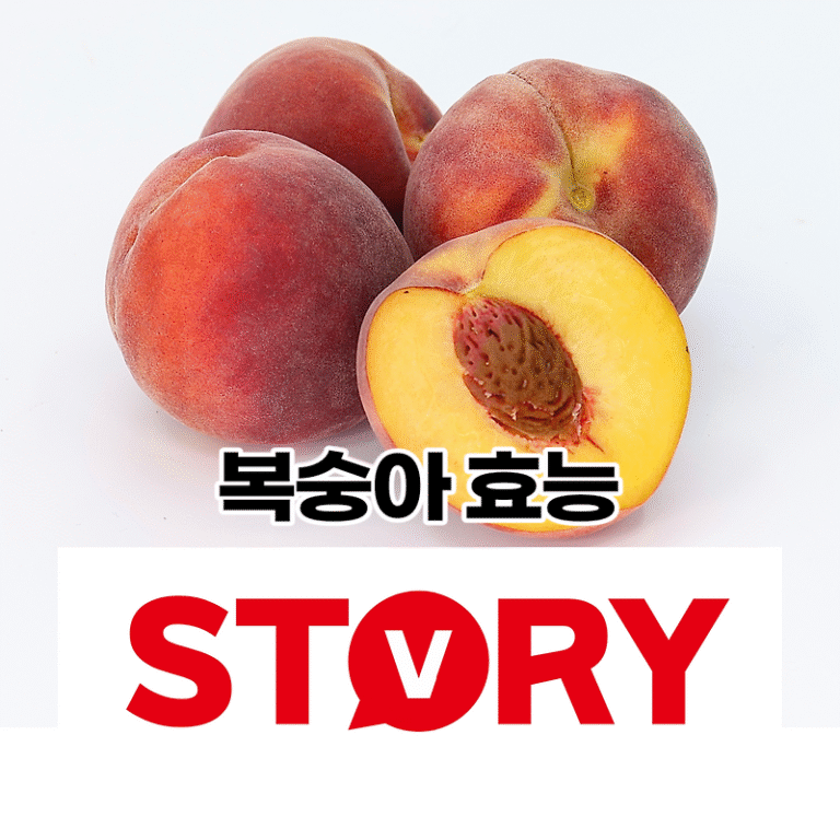 복숭아 효능 6가지 복숭아 부작용 3가지 및 영양소