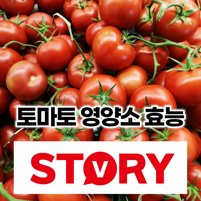 토마토 특성 및 영양학적 가치(영양소), 토마토 효능 5가지, 토마토는 과일인가? 야채인가?