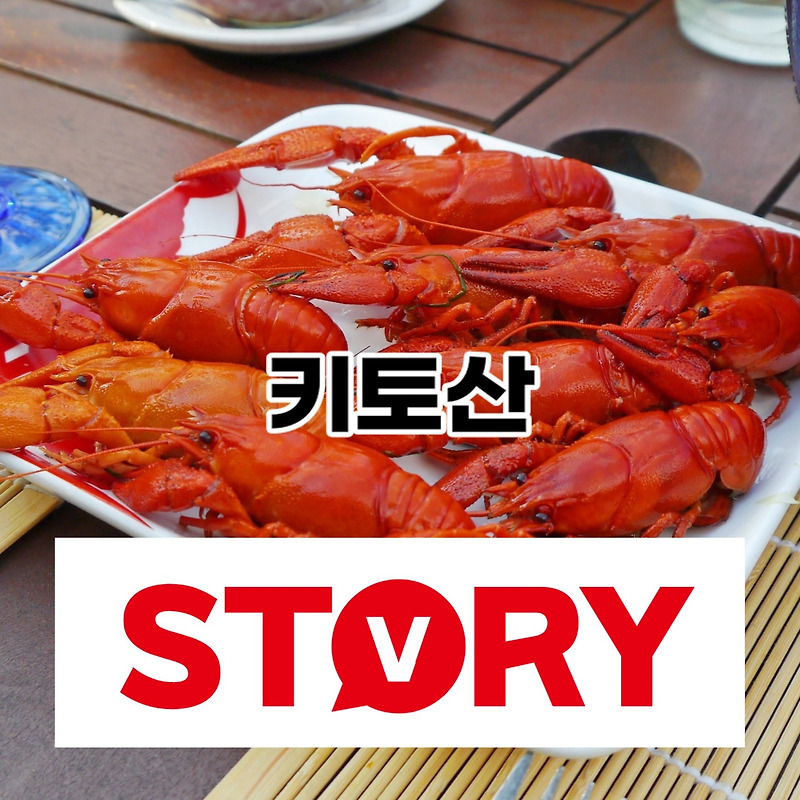 키토산 효능 및 키토산의 부작용 (ft : 키토산 변비 효과?)