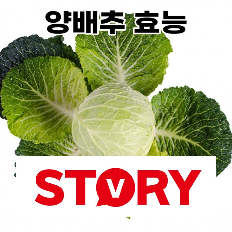 양배추 효능 7가지 알아보기