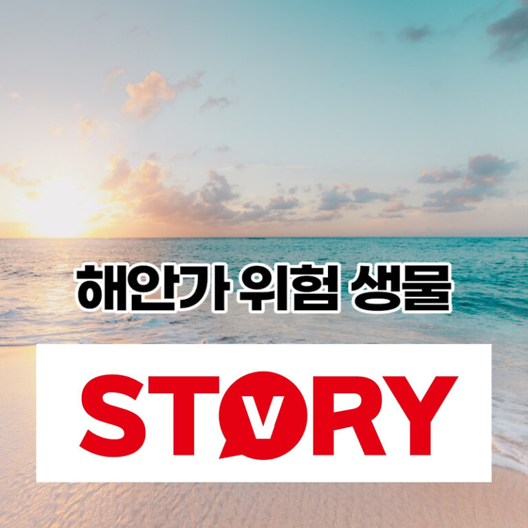 여름철 해수욕장 해안가 위험 해양 생물 5가지, 응급처치법 꼭 숙지하셔서 안전한 휴가철 보내세요