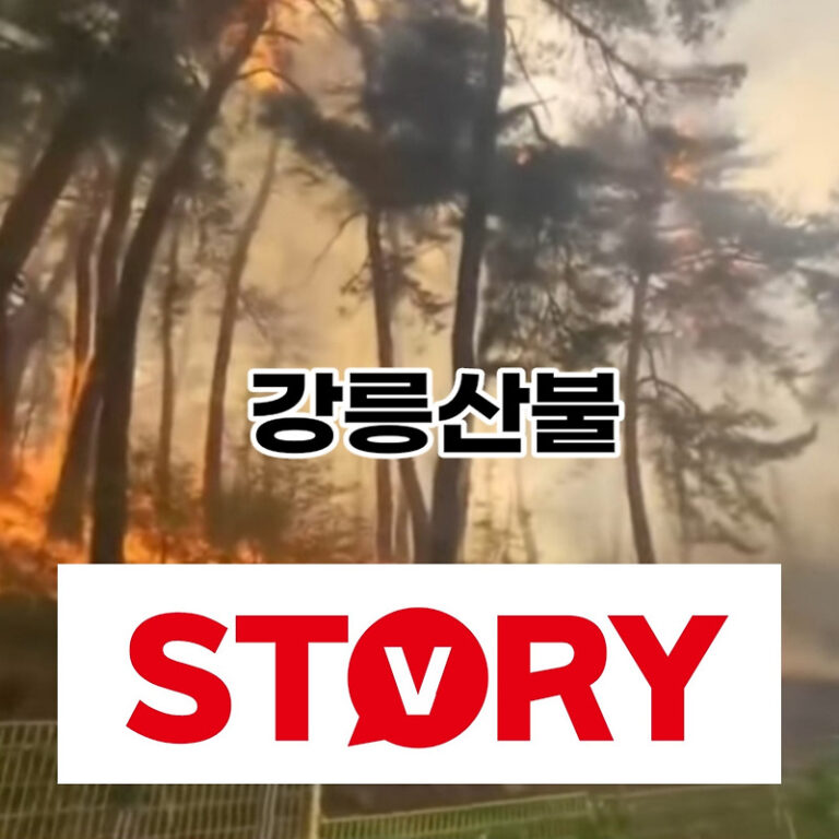 강릉 산불 원인 피해 컸던 이유 산불 예방 방법 (ft : 강원도 푄현상, 양간지풍,지구 온난화)