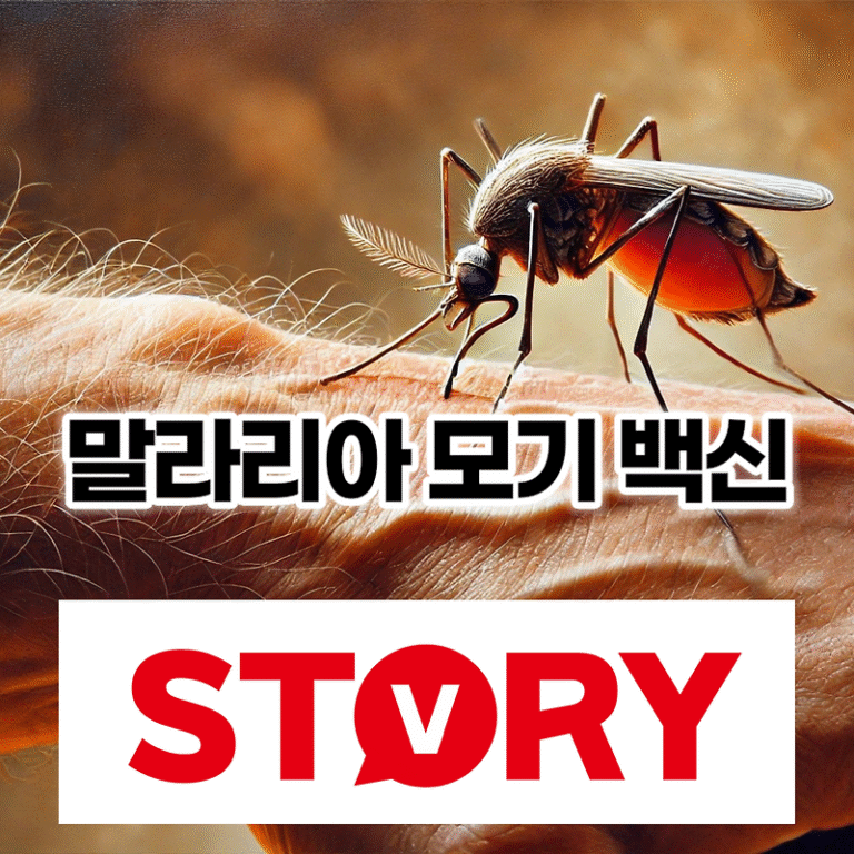 말라리아 모기 종류와 말라리아 모기 백신 다양한 예방수칙은?