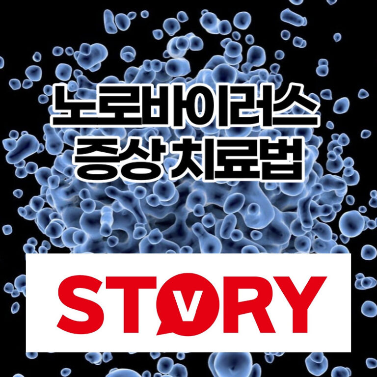 노로 바이러스 장염 정의 원인 및 노로 바이러스 장염 증상 치료법