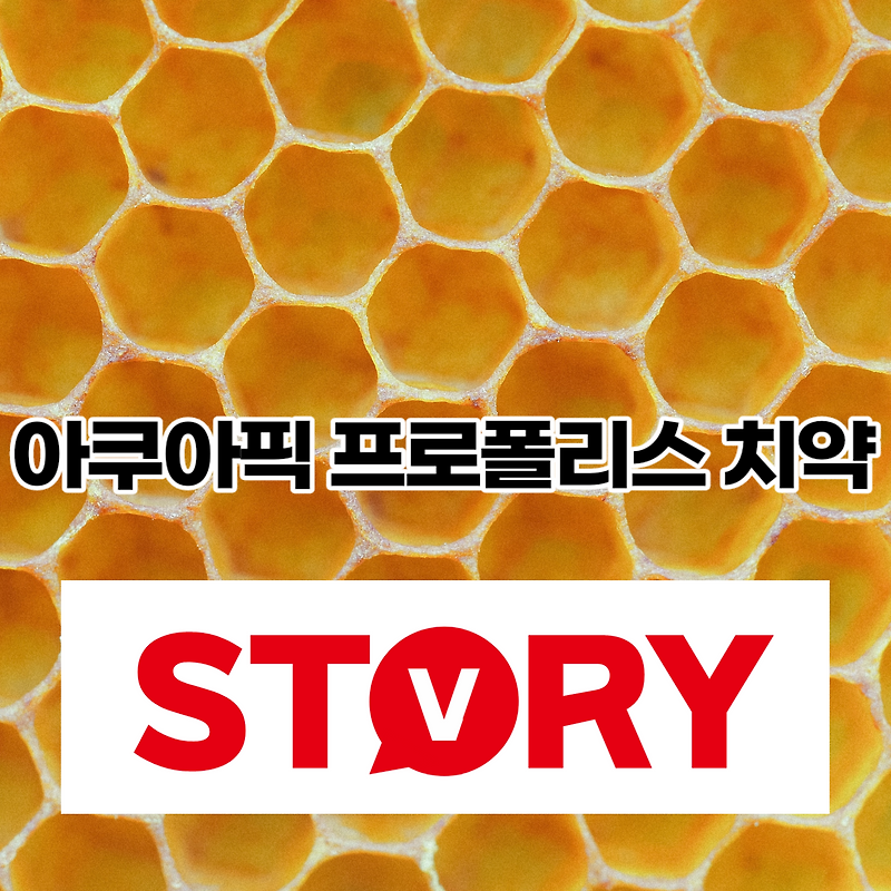 프로폴리스 효능 & 부작용 치과 의사들이 인정하는 아쿠아픽 프로폴리스 치약 130g 추천