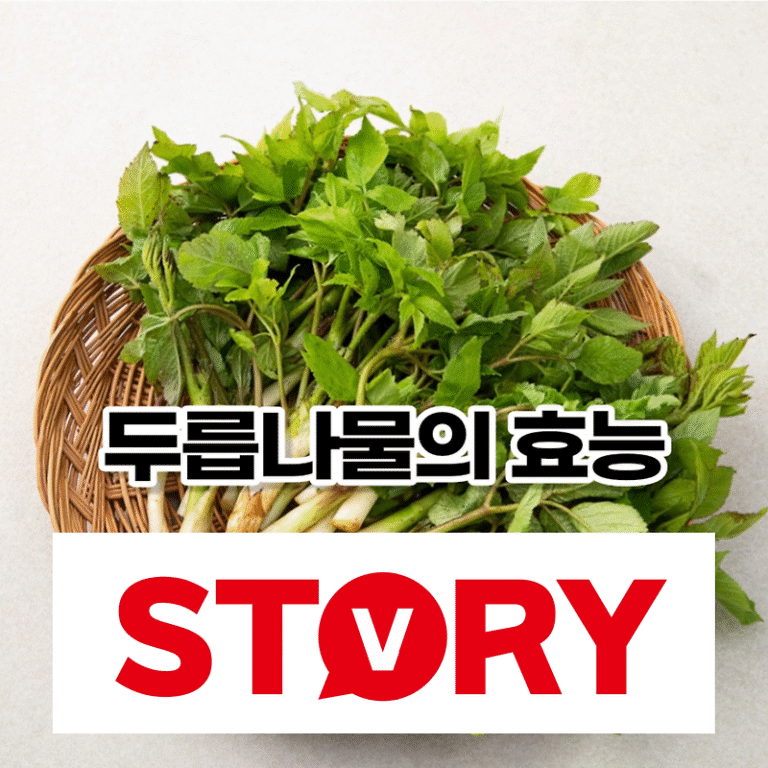 4~5월 봄나물 황태자 두릅나물의 효능 7가지 두릅 데치기 방법 두릅나물 부작용