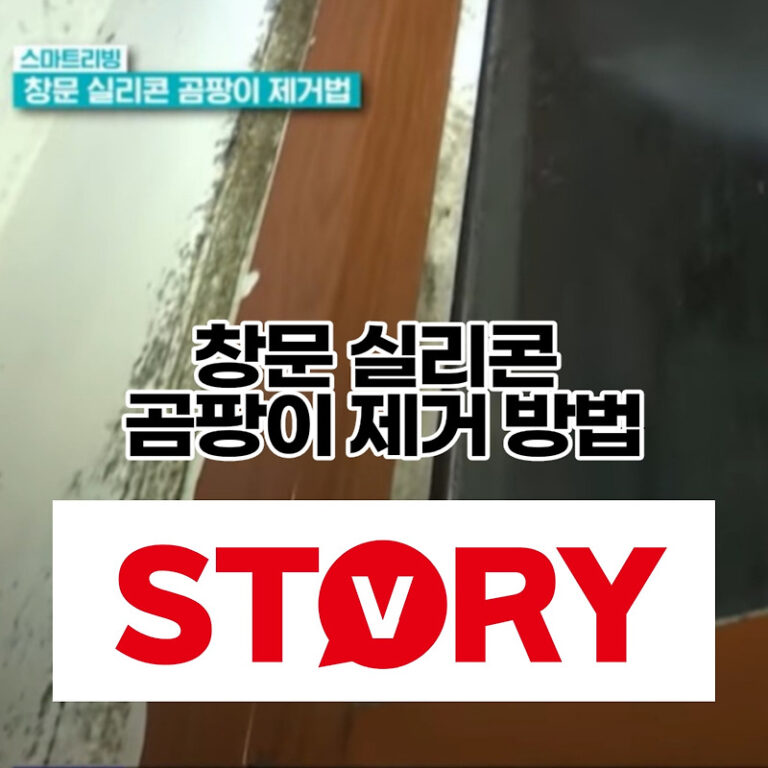 여름철 겨울철 집안 창문 실리콘 곰팡이 제거하는 방법? (ft : 락스 이용, 과산화수소 이용, 홈스타 이용)