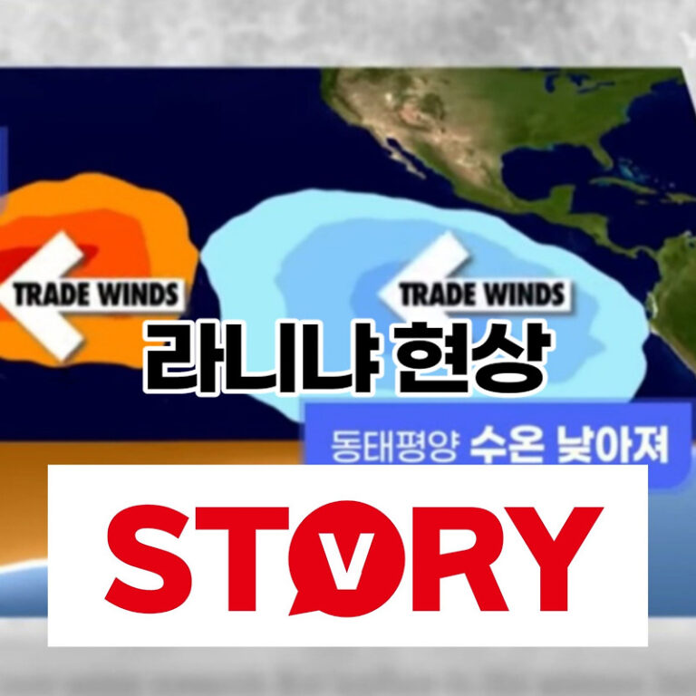 2020년 8월부터 계속된 라니냐란? 라니냐로 인한 자연재해 라니냐 현상 5가지