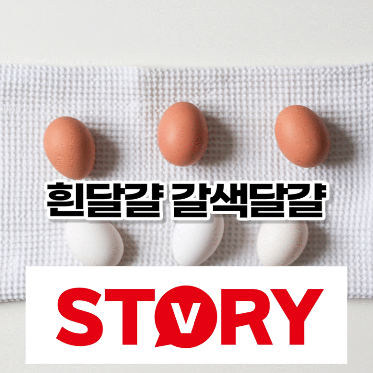 흰 달걀 갈색달걀, 달걀 색깔, 건강에 차이 있을까? 신선한 달걀 고르는 법? 올바른 달걀 보관법?