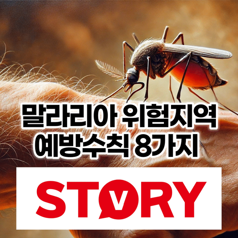 말라리아 위험지역(국내/국외), 위험국가 말라리아 예방수칙 8가지