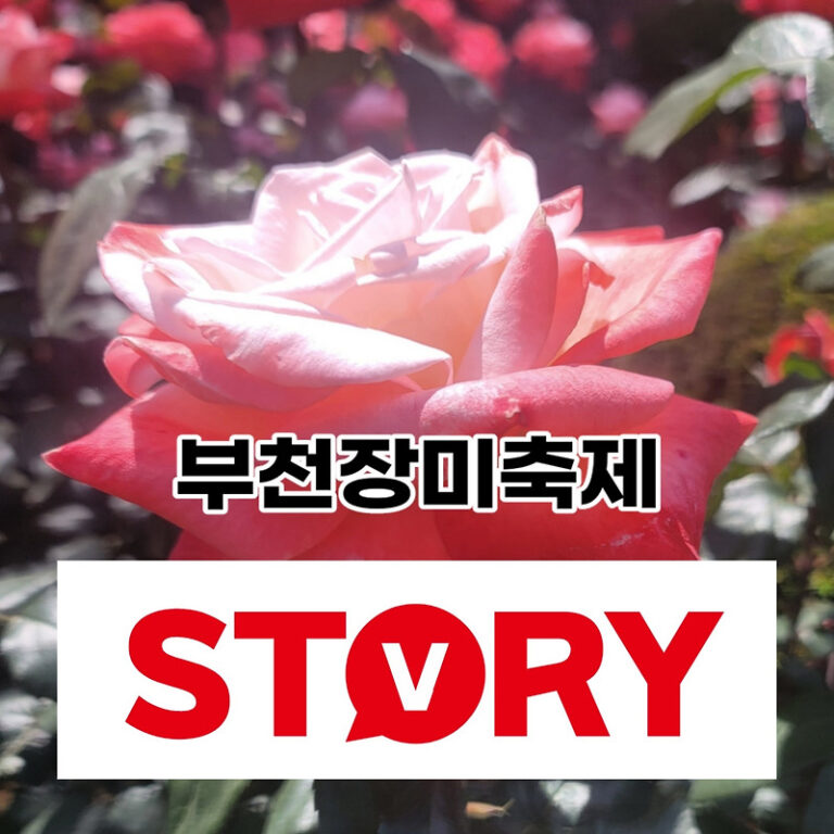 사진찍기 좋은곳 도당동 부천백만송이장미원 부천장미축제 주차정보 주차요금