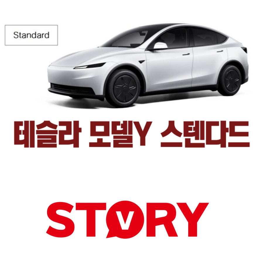 테슬라 모델Y 스탠다드: 가격,1