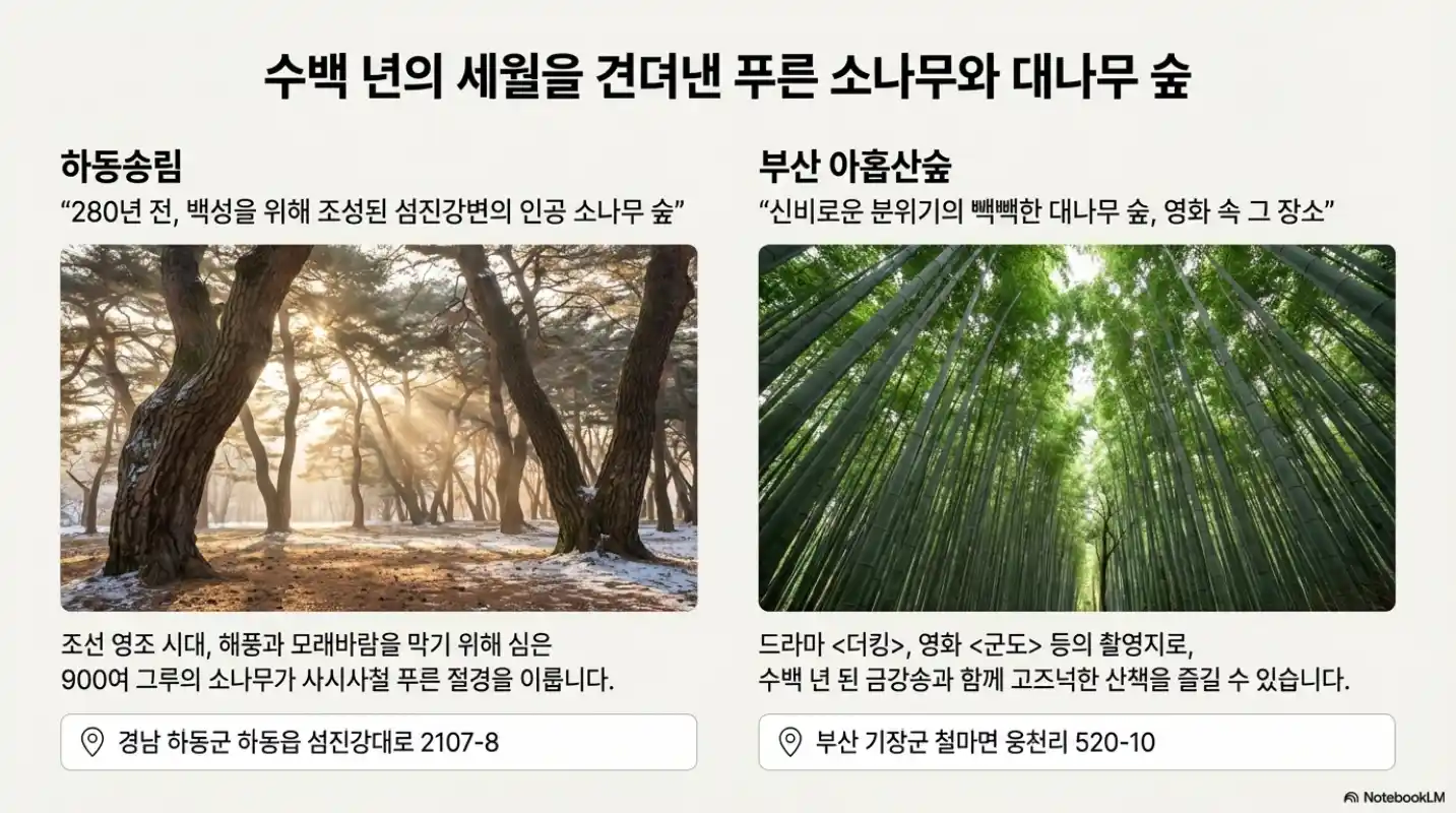 1월 국내 여행지5