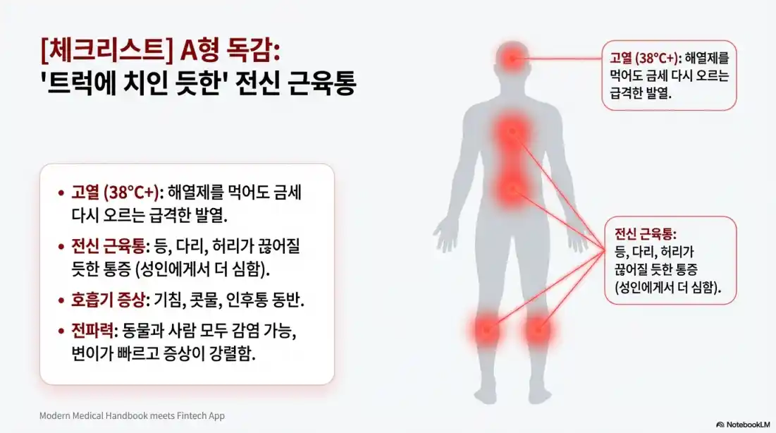 A형 독감 B형 독감 증상 차이06