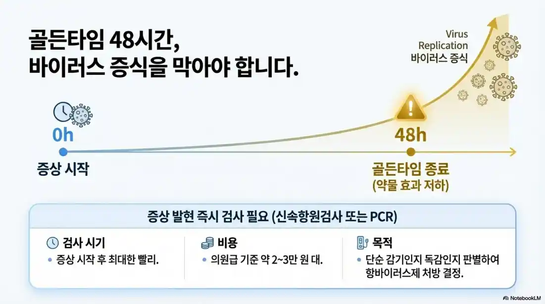 A형 독감 B형 독감 증상 차이09