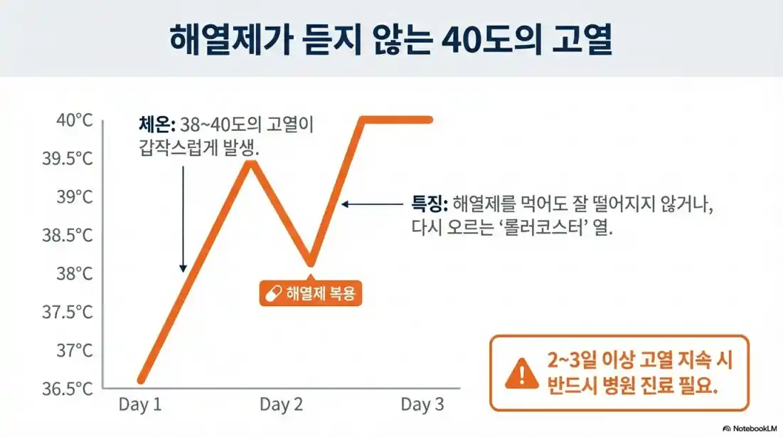 B형 독감 증상 02