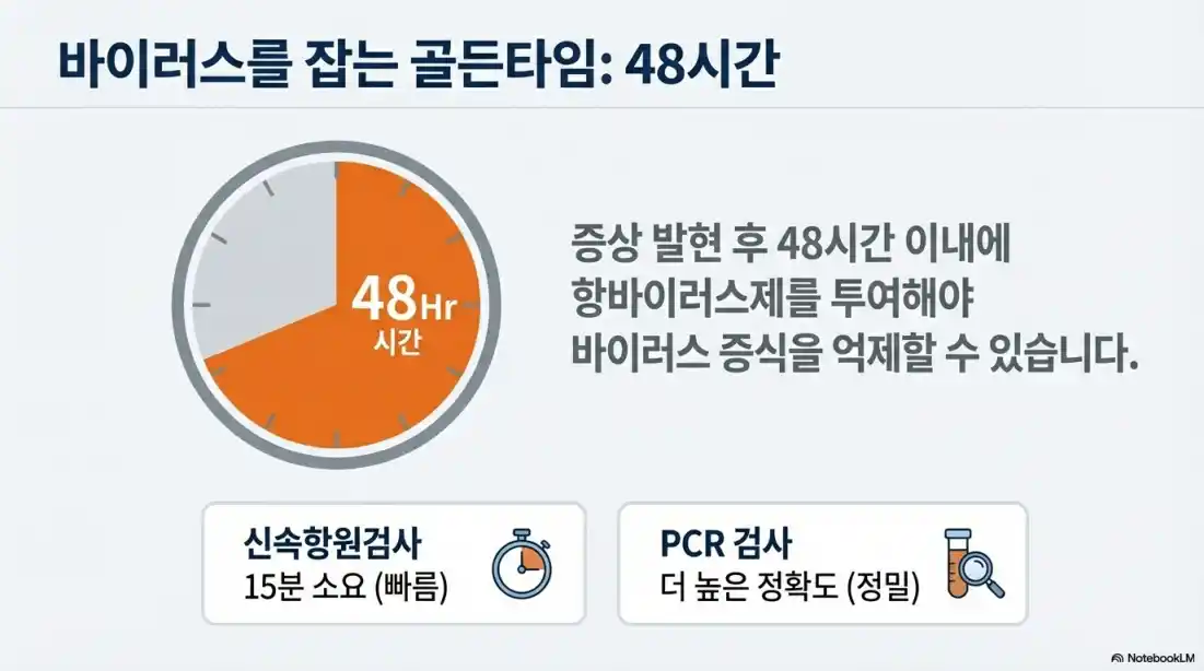 B형 독감 증상 13