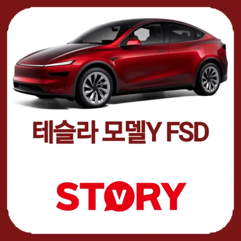 2026 테슬라 모델 Y 프리미엄 스텐다드 가격 인하 분석: 국내 보조금 전망