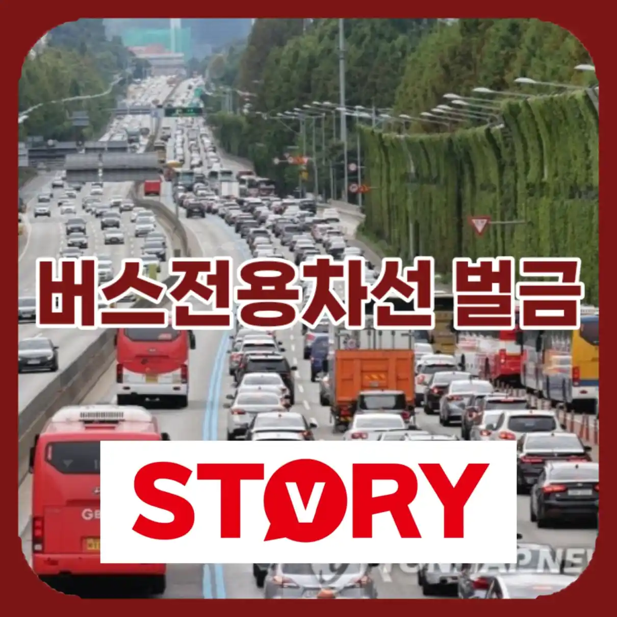 버스전용차선 벌금11