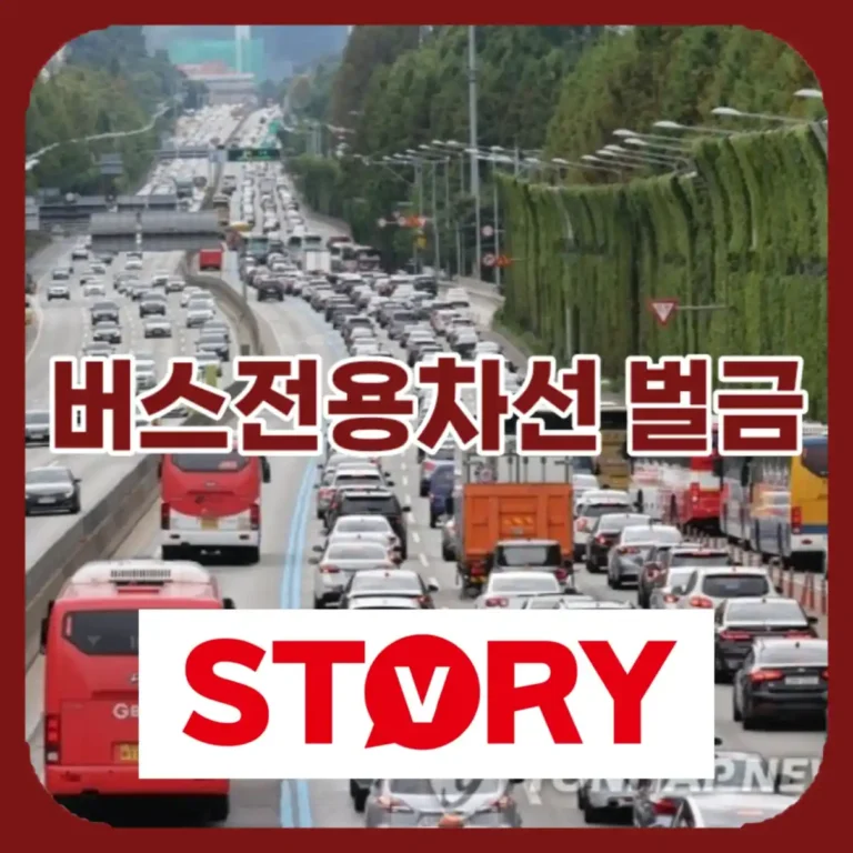 고속도로 버스전용차로 벌금 및 운영 시간 완벽 가이드 (2026 최신)