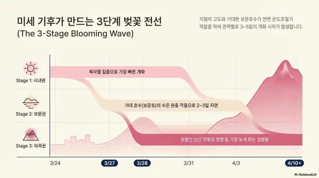 2026년 경주 벚꽃 시기14