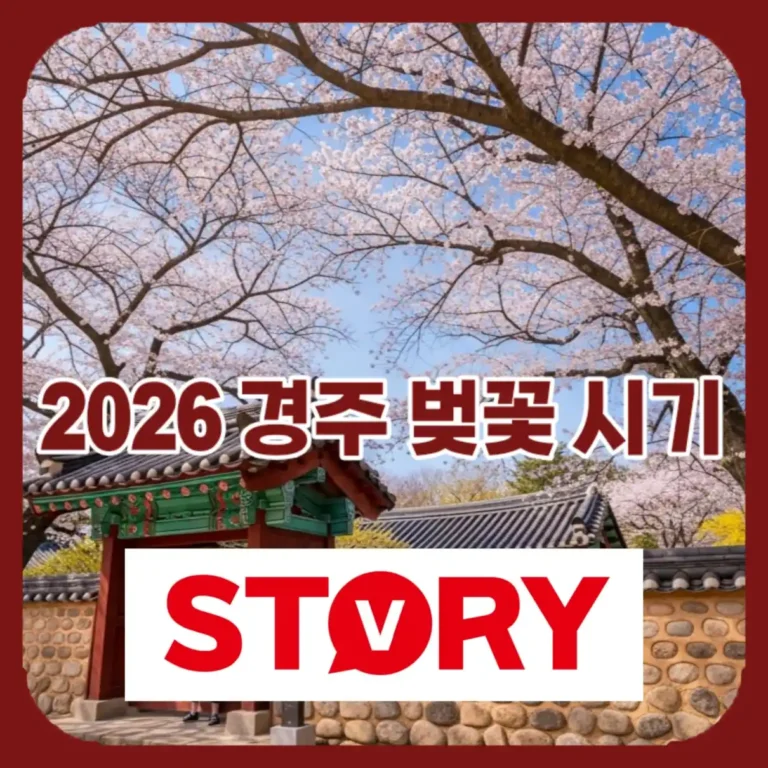 2026 경주 벚꽃 개화시기 완벽 정리! 만개일 및 명소 BEST 5