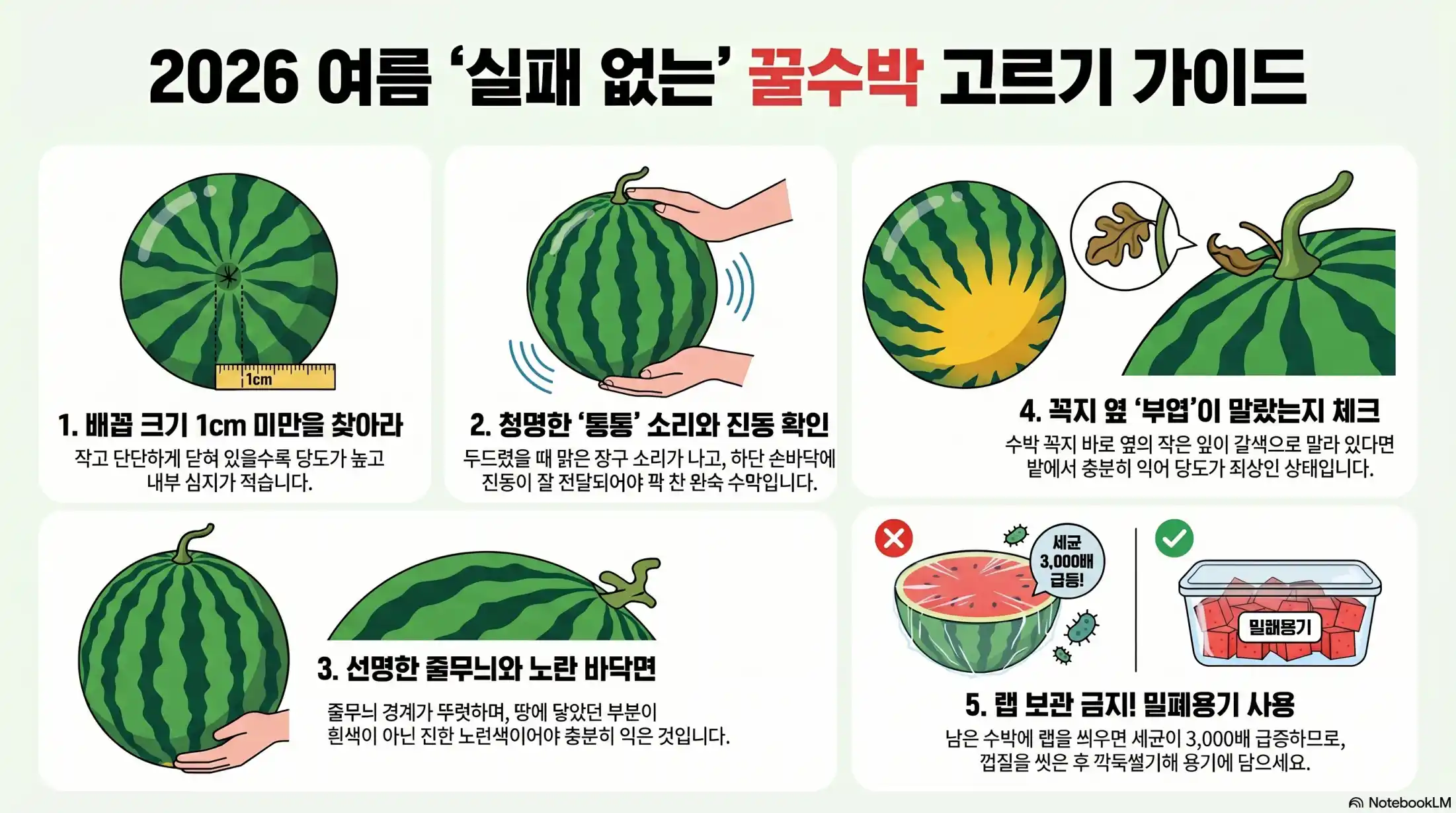 과일 전문가가 추천하는 꿀수박 고르는 노하우03