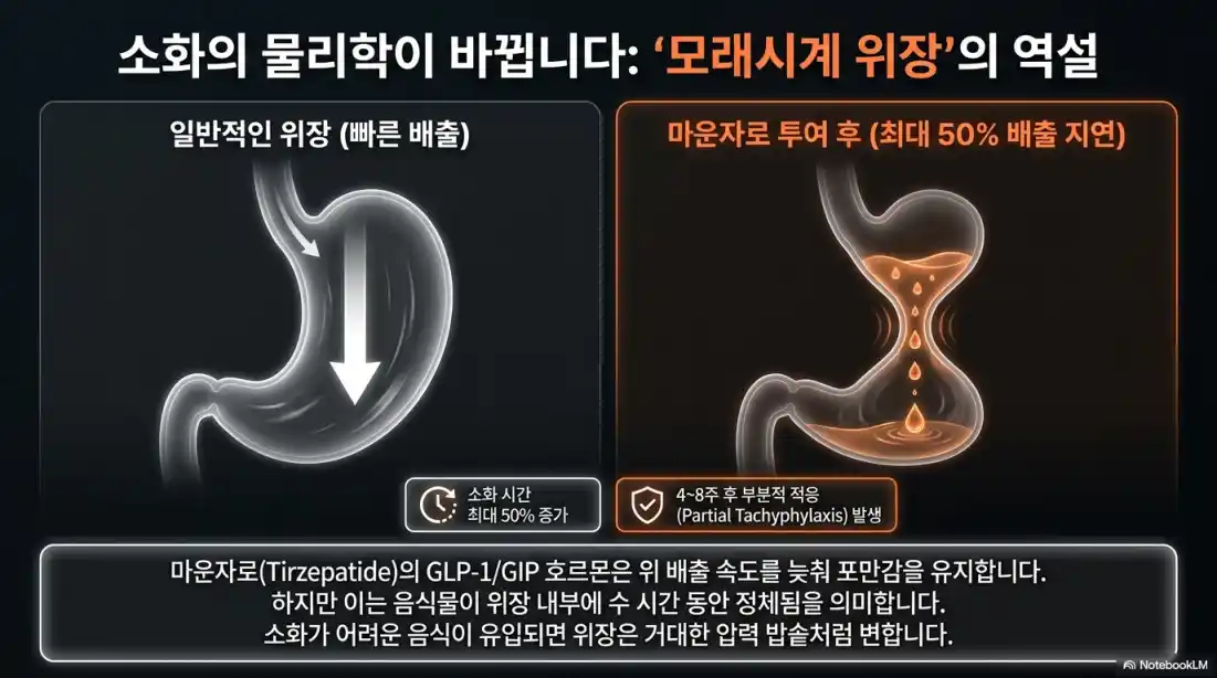 마운자로 피해야 할 음식 5가지10