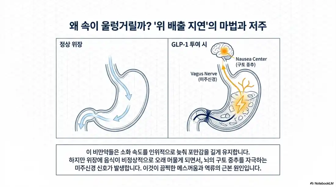 위고비 마운자로 부작용 5가지01