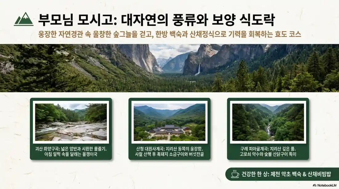 여름휴가 국내 여행지 추천: 전국 숨은 계곡 56선