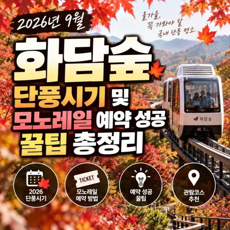 [2026 최신] 화담숲 모노레일 명당 코스, 가을 단풍 예매 총정리