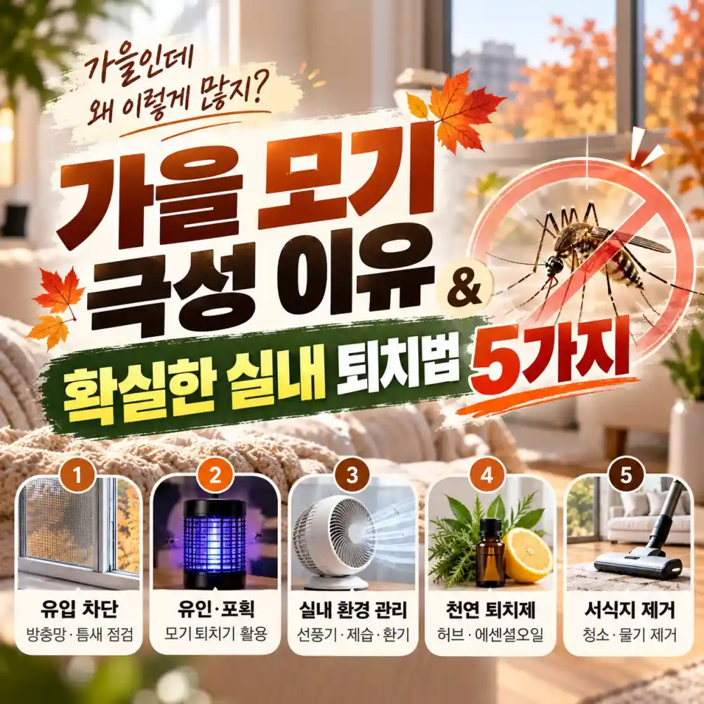 가을 모기 극성 & 실내 퇴치법 08