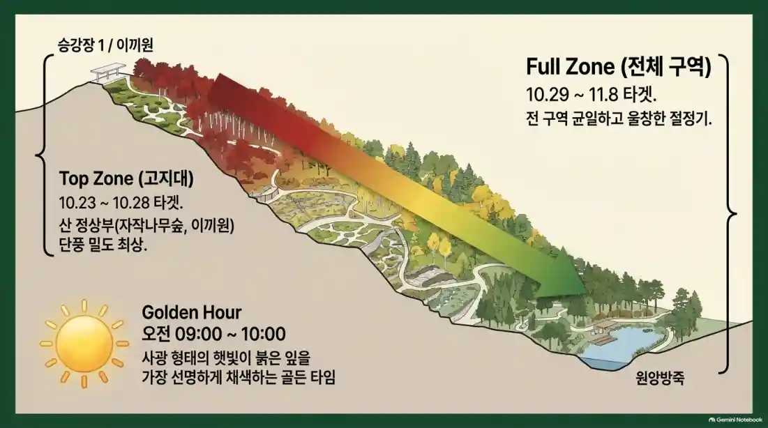 곤지암 화담숲 예약 및 모노레일 예매 꿀팁09