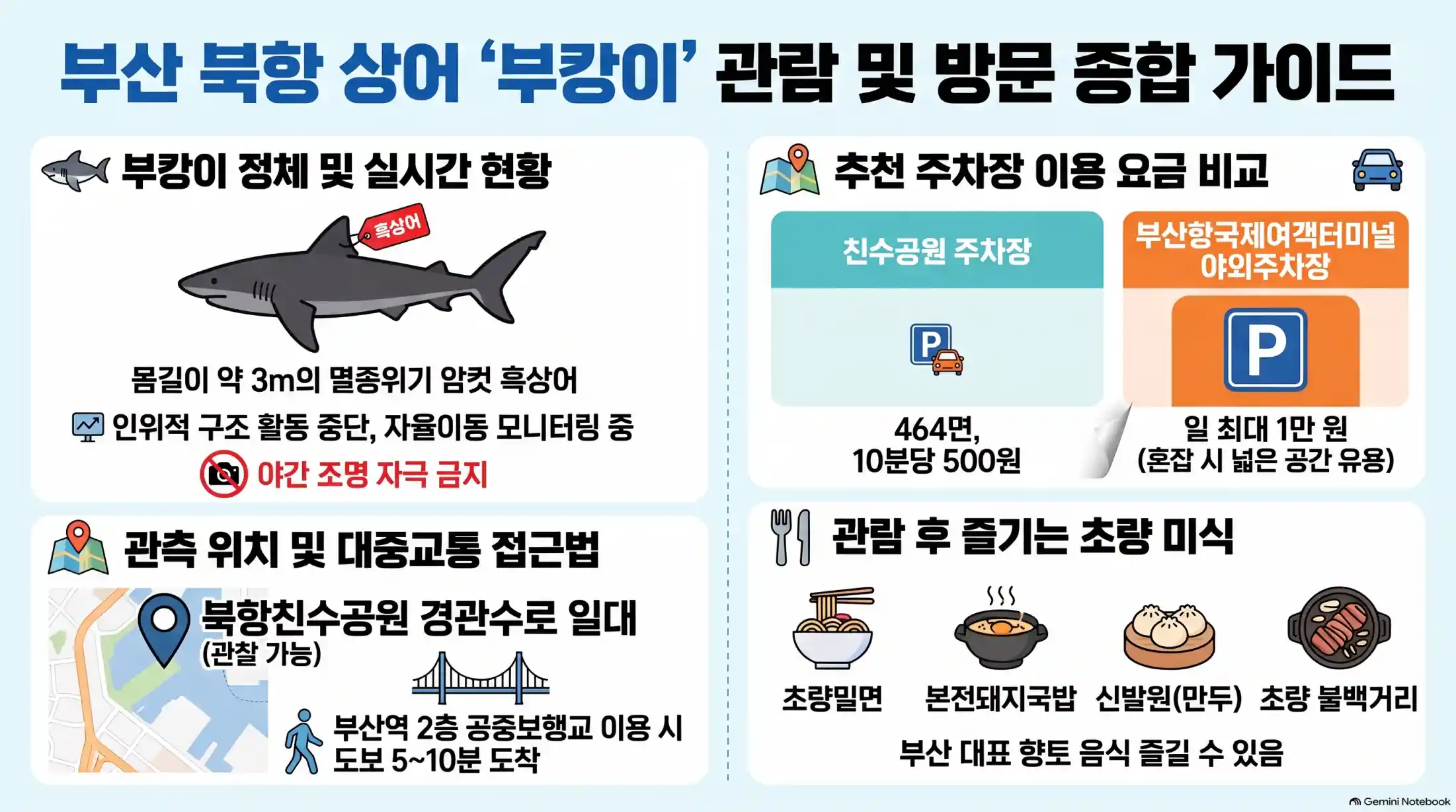 부산 북항 상어 '부캉이' 실물 위치·실시간 현황·주차12