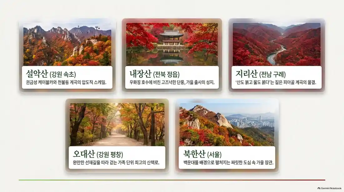 2026 전국 가을 단풍 절정 시기 언제 절정?