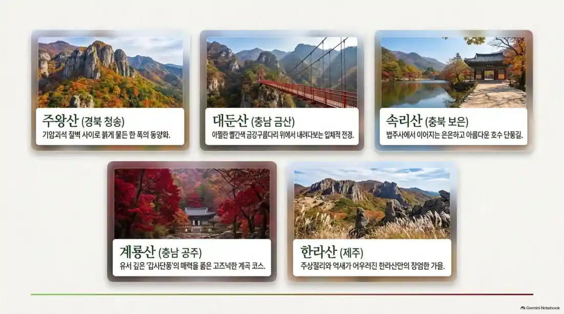 2026 전국 가을 단풍 절정 시기 언제 절정?