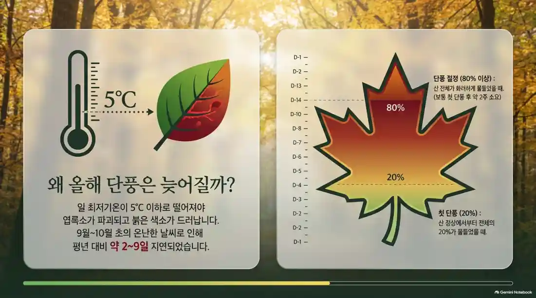 2026 전국 가을 단풍 절정 시기 언제 절정?