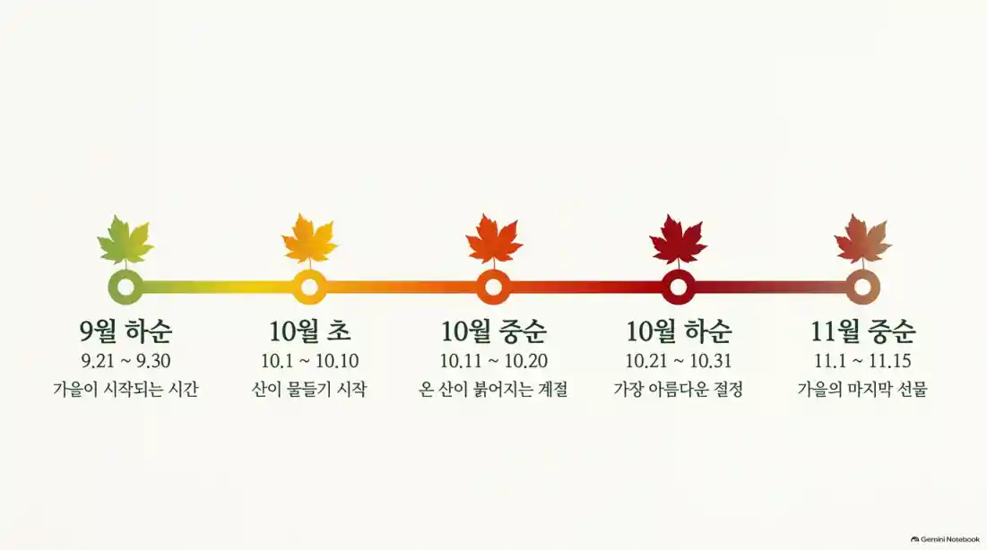 2026 전국 가을 단풍 절정 시기 언제 절정?
